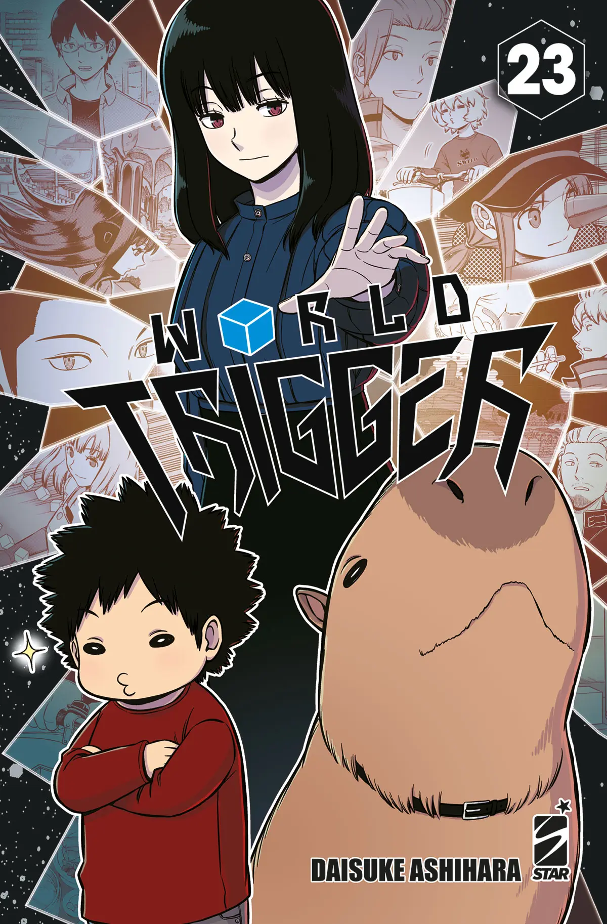 Volume cover